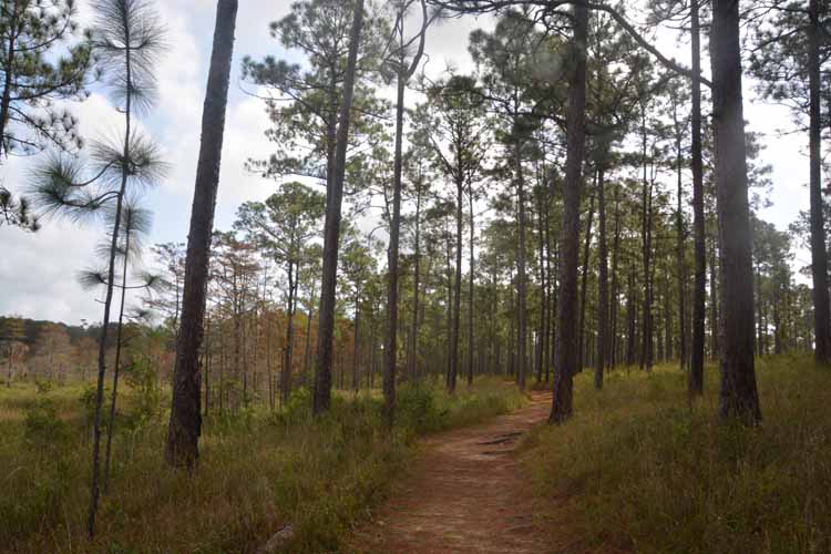 hiking trail